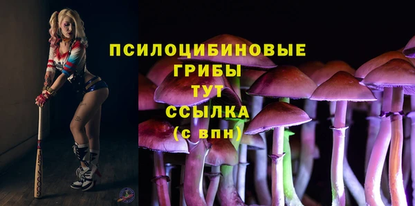 сатива Балабаново